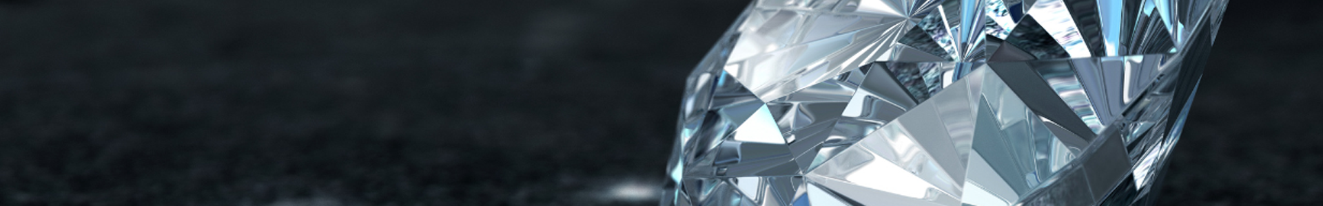 Our Recent Purchases